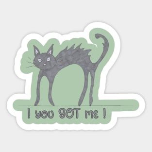 you-GOT-me-CAT Sticker